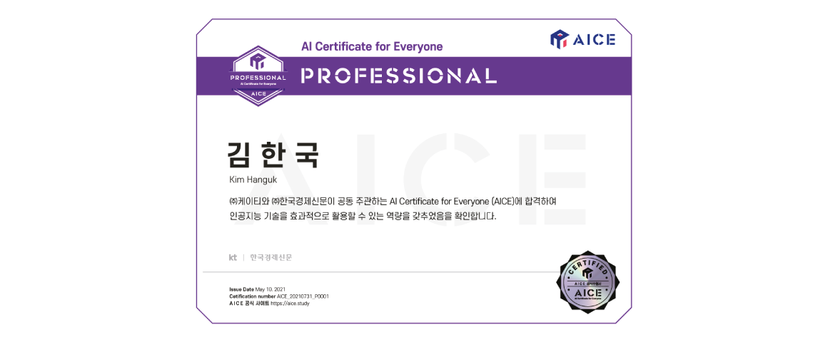 AICE CERTI - PROFESSIONAL