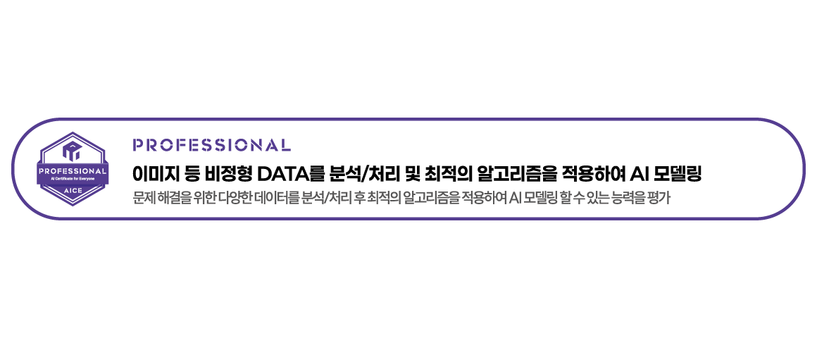 AICE 과정 소개 - PROFESSIONAL